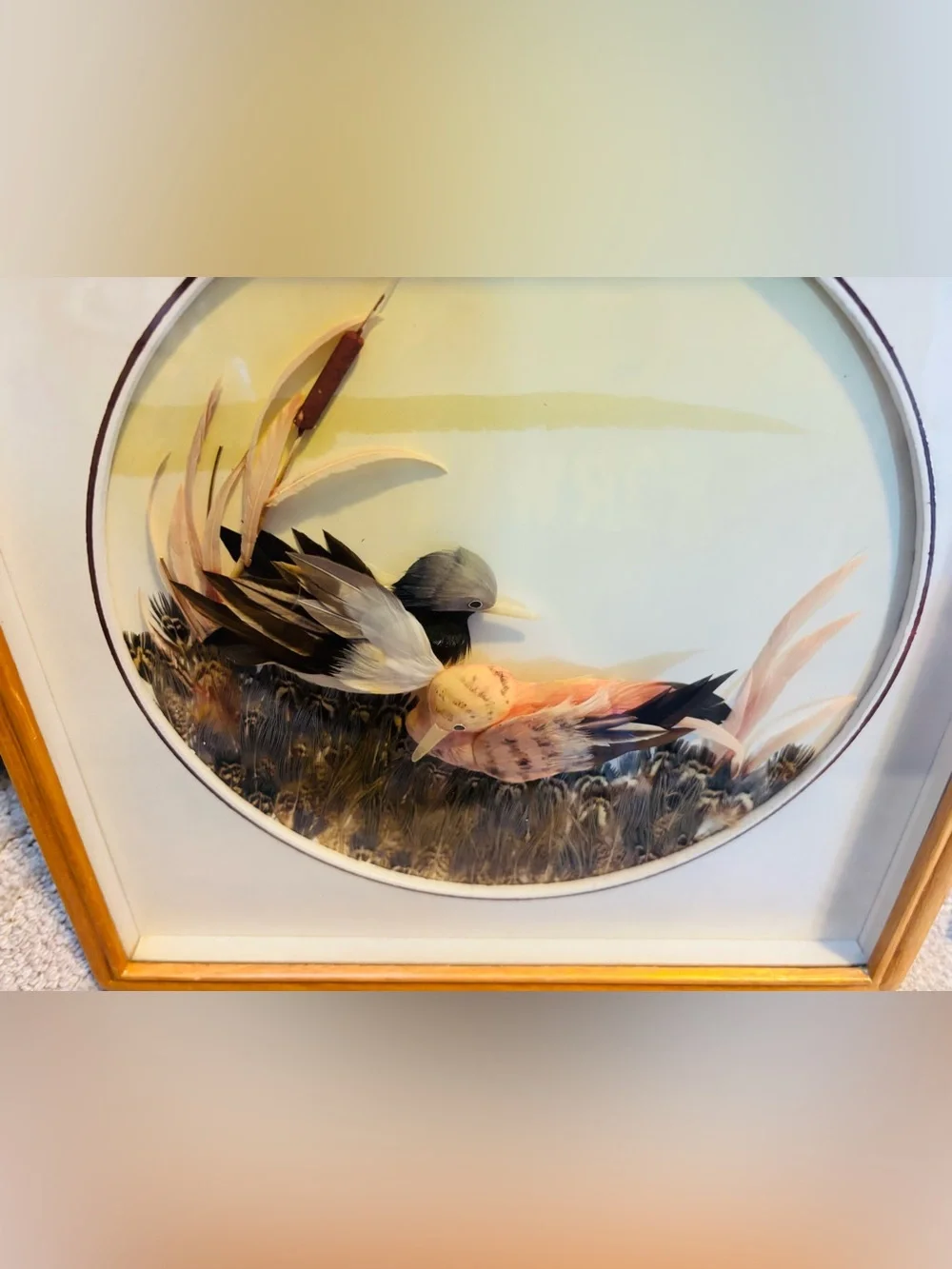 Vintage Mexican Feather Art Framed - Real Feathers Birds in Marsh Reed